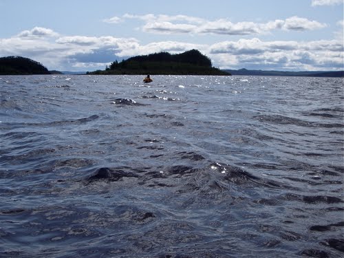 Manic Paddling